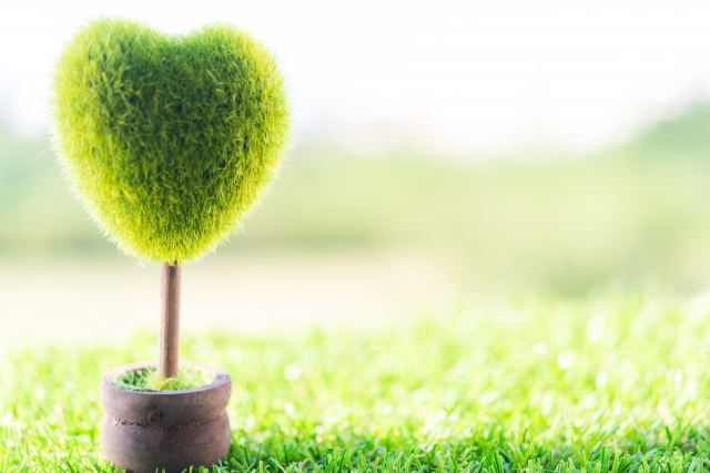 4 ways to care for mental health