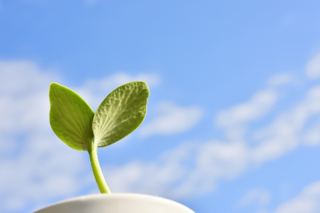 prevent mental disorders